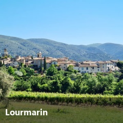 lubéron Provence immobilier